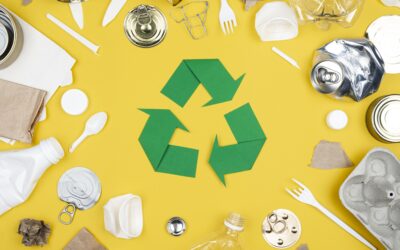 [TRI DES DÉCHETS] Décryptage des logos et symboles du recyclage : Que signifient-ils vraiment ?