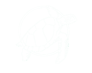 tortue blanche